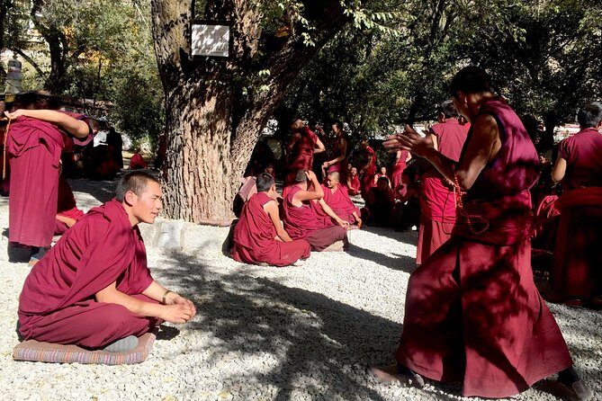 Tibet 8-Day Tour including Mount Everest Base Camp - Why This Tour Offers Good Value