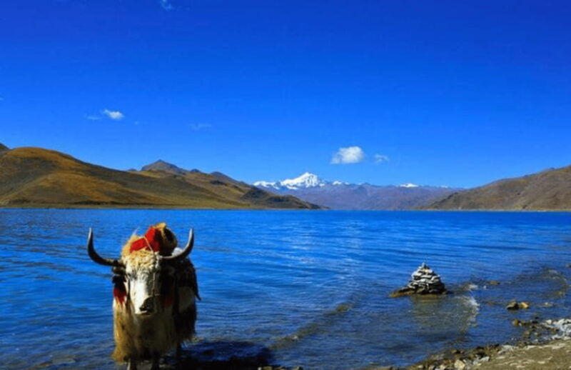 tibet-classic-highlights-5days-tour