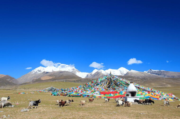 tibet-classic-highlights-5days-tour