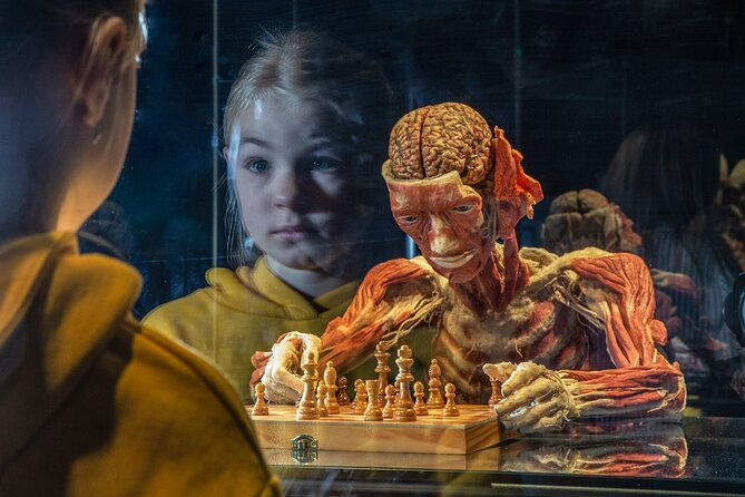 ticket-expo-body-worlds-in-bruges-belgium
