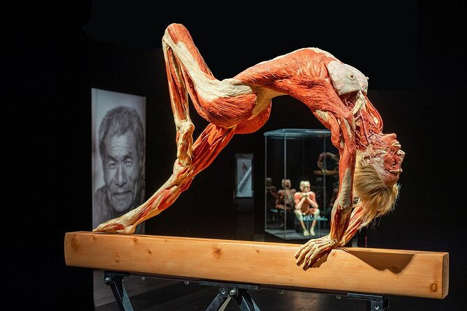 ticket-expo-body-worlds-in-bruges-belgium