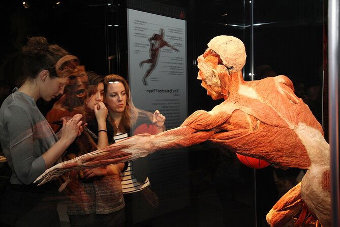 ticket-expo-body-worlds-in-bruges-belgium