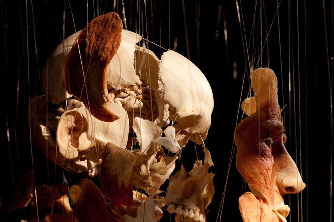ticket-expo-body-worlds-in-bruges-belgium