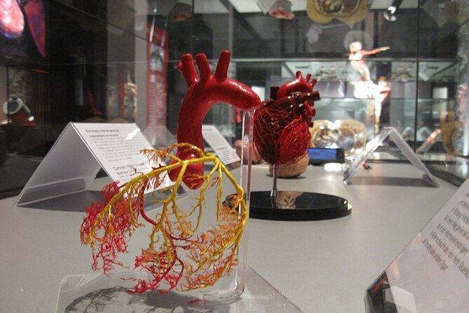 ticket-expo-body-worlds-in-bruges-belgium