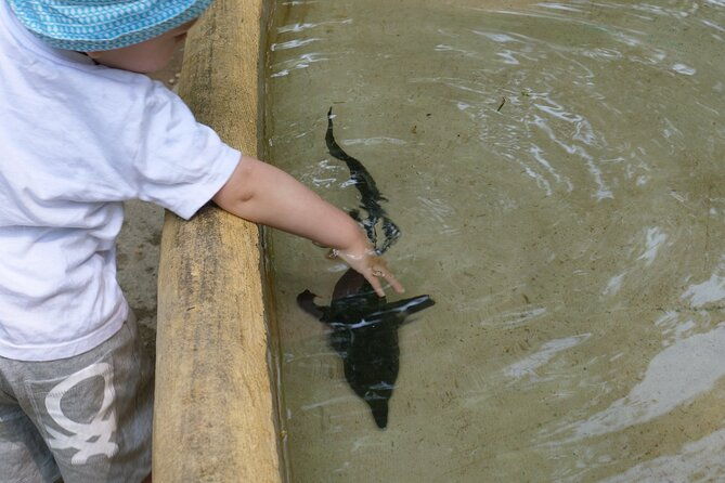 ticket-for-fish-park-paradise-at-zelo-buon-persico
