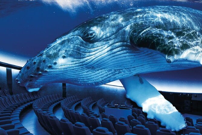 ticket-palma-aquarium