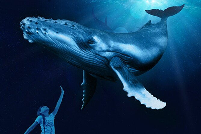 ticket-palma-aquarium