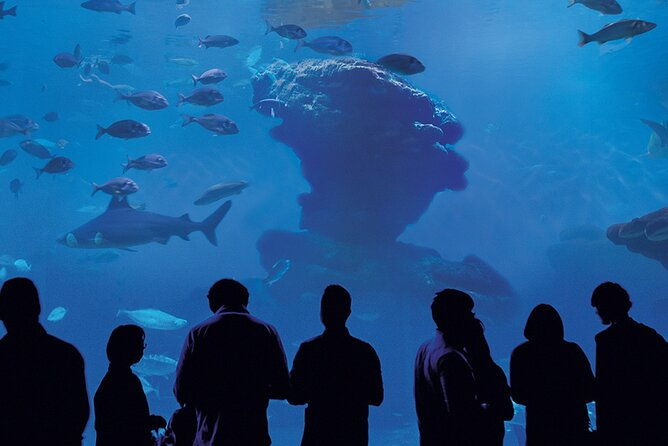 ticket-palma-aquarium