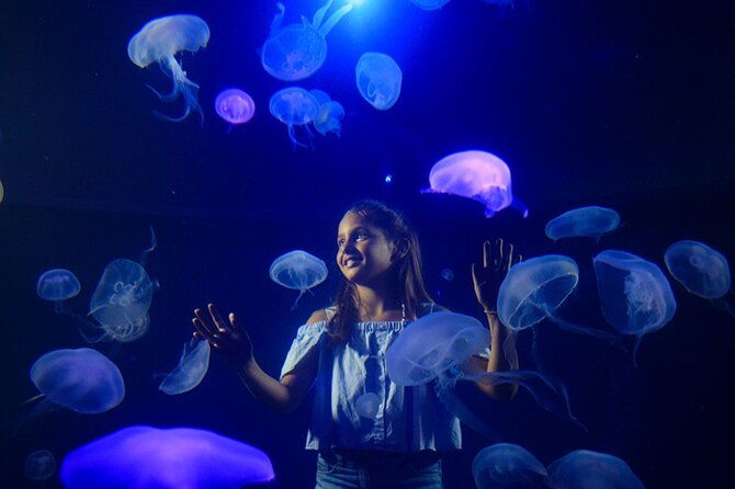 ticket-palma-aquarium