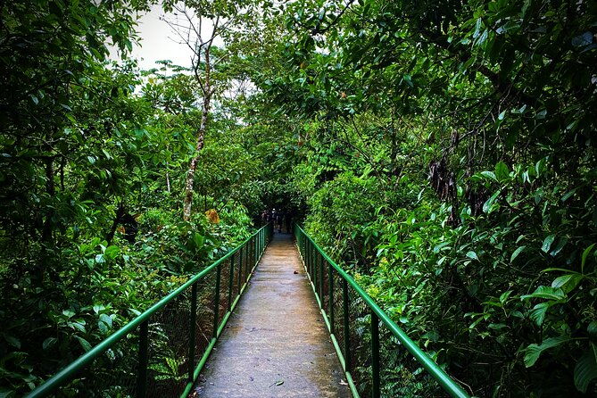 ticket-to-rio-celeste-waterfall-tenorio-volcano-national-park