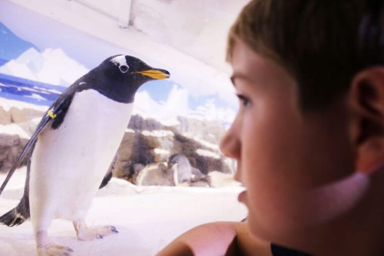 ticket-to-sea-life-konstanz-incl-animal-crossing-event