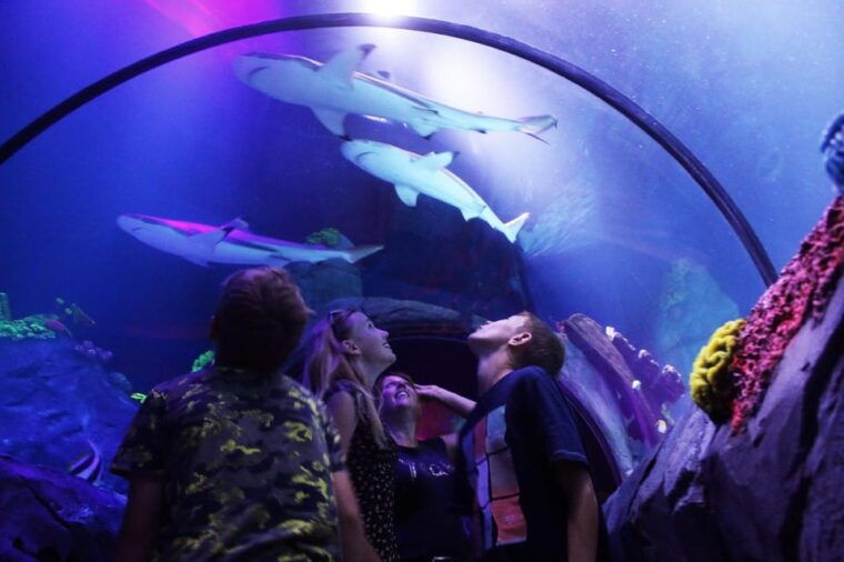 ticket-to-sea-life-konstanz-incl-animal-crossing-event