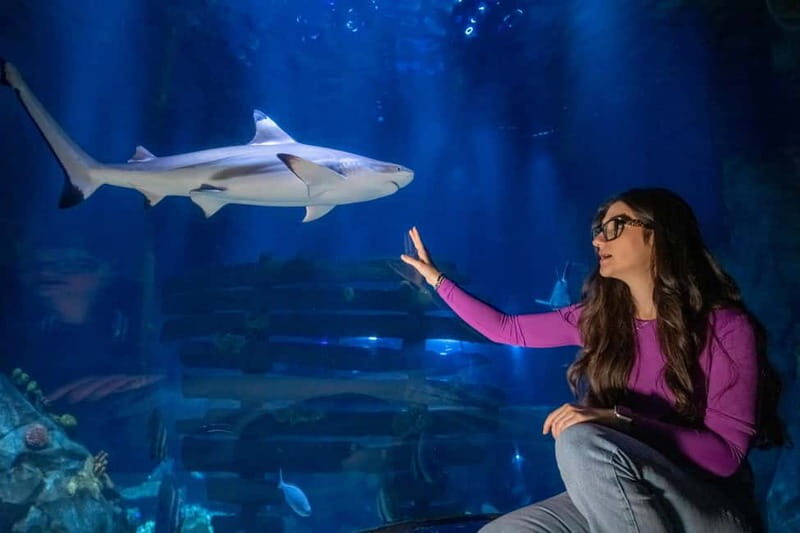 Ticket to SEA LIFE Konstanz - Frequently Asked Questions