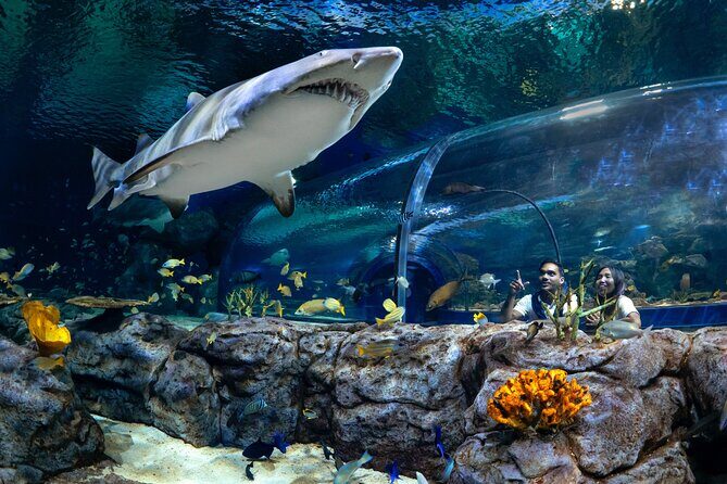 Ticket to the largest Oceanarium of the Mascarene Islands - Key Points