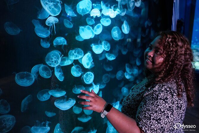 Ticket to the largest Oceanarium of the Mascarene Islands - An Overview of What to Expect