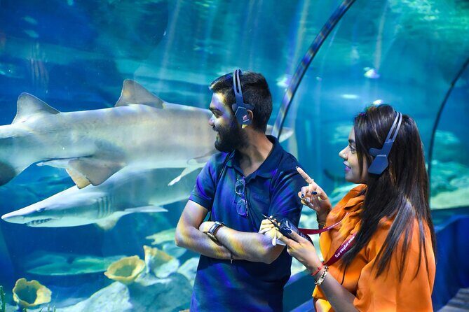 Ticket to the largest Oceanarium of the Mascarene Islands - Authentic Insights from Visitors