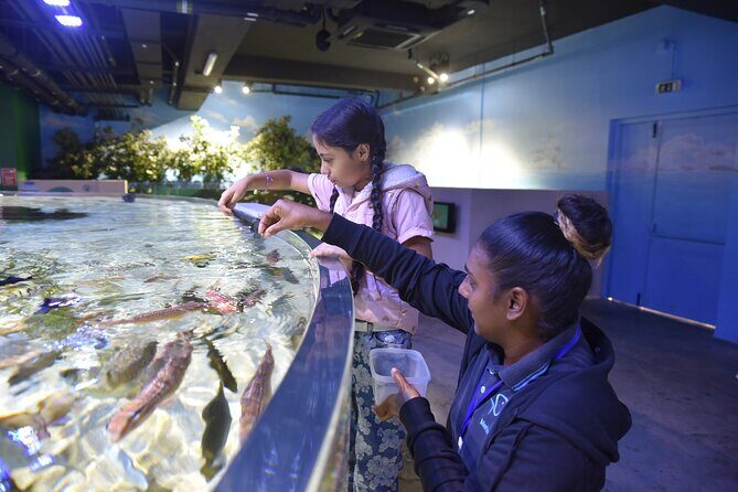 Ticket to the largest Oceanarium of the Mascarene Islands - Practical Details and Tips for Visitors