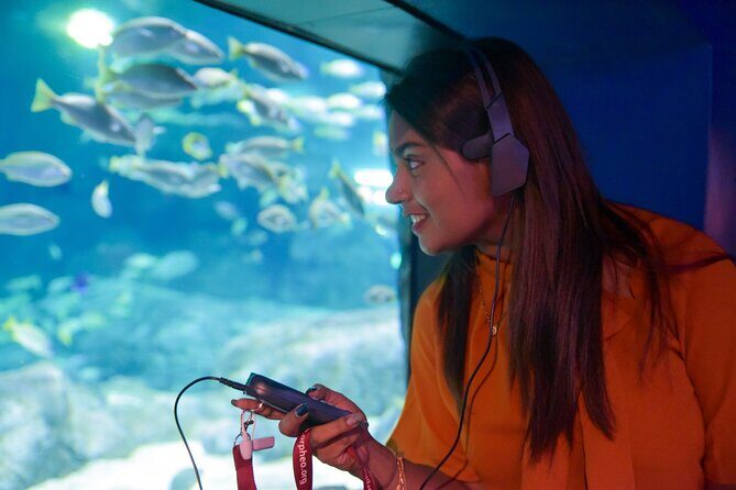 Ticket to the largest Oceanarium of the Mascarene Islands - Additional Nearby Attractions and Alternatives
