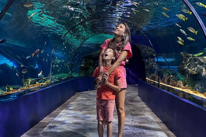 Ticket to the largest Oceanarium of the Mascarene Islands - Who Is This Tour Best For?