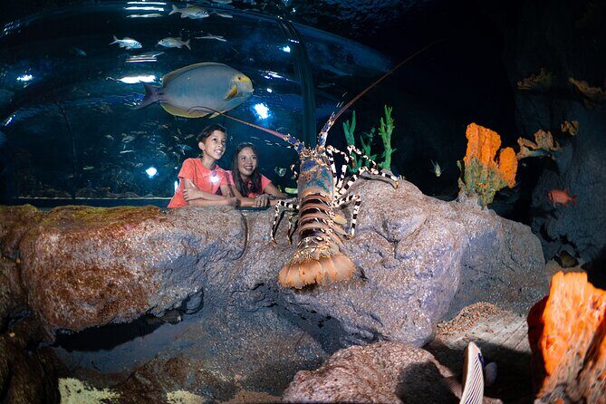 Ticket to the largest Oceanarium of the Mascarene Islands - The Sum Up