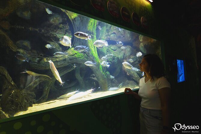 Ticket to the largest Oceanarium of the Mascarene Islands - FAQs