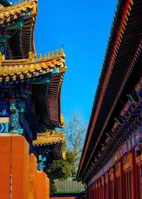 Tickets to all Beijing attractions (Forbidden City optional) - Authentic Insight from Other Travelers
