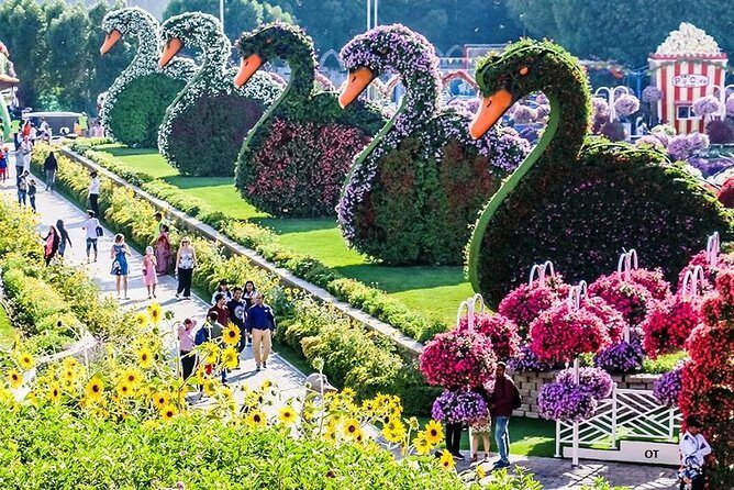 Tickets to Miracle Garden or Butterfly Garden or Global Village - Final Thoughts