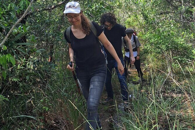 Tien Son Dinh 1 Day Trekking Tour Phu Quoc - The Sum Up: Who Should Consider This Tour?