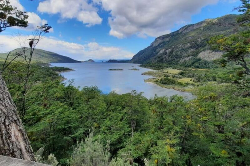 tierra-del-fuego-national-park-half-day-tour