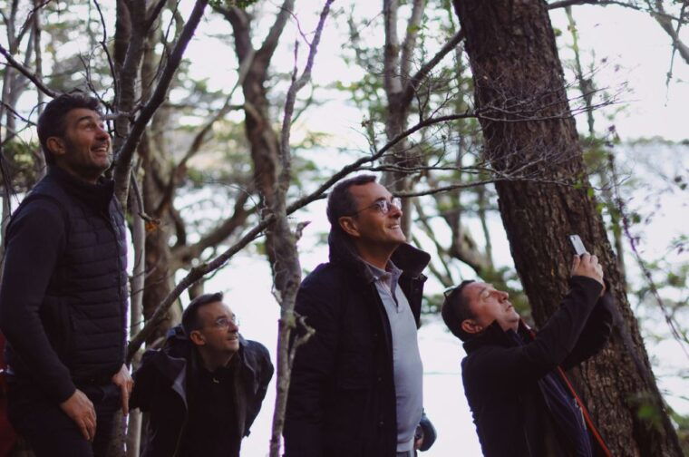 tierra-del-fuego-national-park-half-day-tour