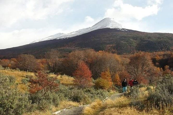 tierra-del-fuego-national-park-ushuaia-shared-tour
