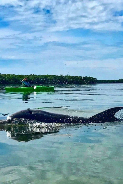 tierra-verde-fl-coastal-kayaking-tour-in-shell-key