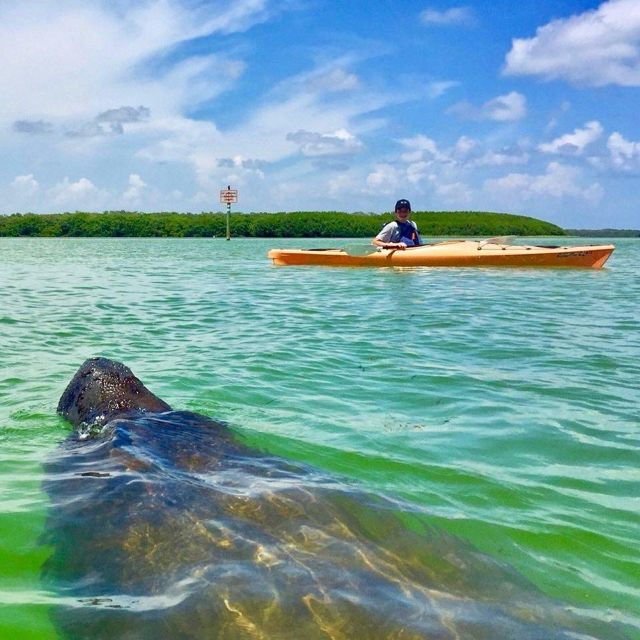 tierra-verde-fl-coastal-kayaking-tour-in-shell-key