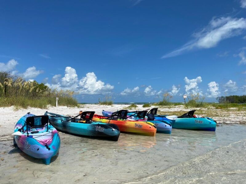 tierra-verde-fl-coastal-kayaking-tour-in-shell-key