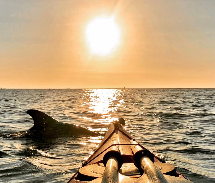 tierra-verde-fl-coastal-kayaking-tour-in-shell-key