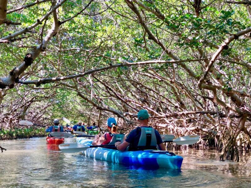 tierra-verde-fl-coastal-kayaking-tour-in-shell-key