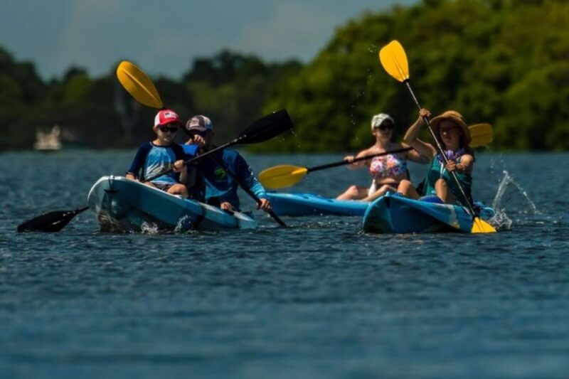 tierra-verde-kayak-tour-at-shell-key-with-capt-yak