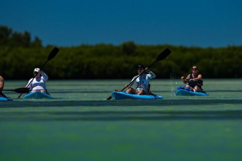tierra-verde-kayak-tour-at-shell-key-with-capt-yak