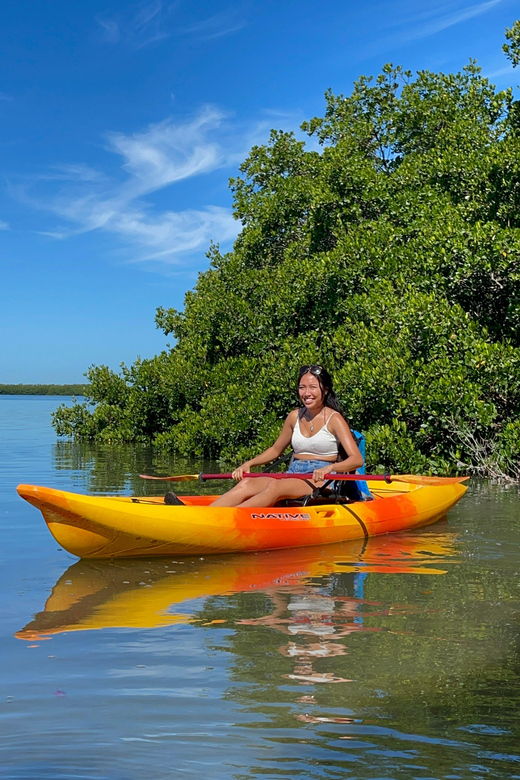 tierra-verde-shell-key-mangrove-private-guided-1-5-hr-tour