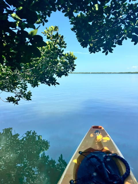tierra-verde-shell-key-mangrove-private-guided-1-5-hr-tour