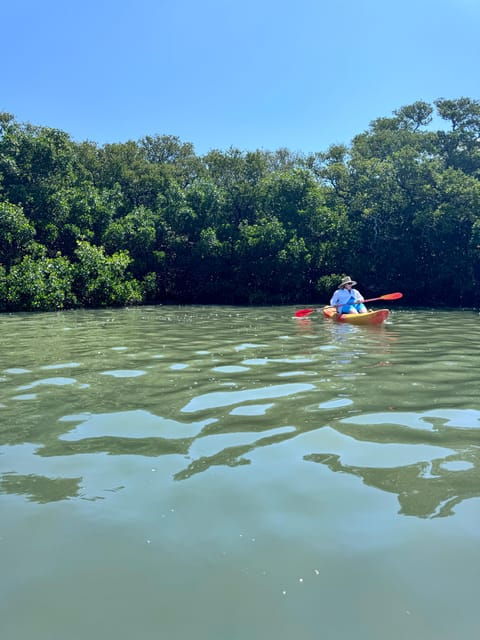 tierra-verde-shell-key-mangrove-private-guided-1-5-hr-tour