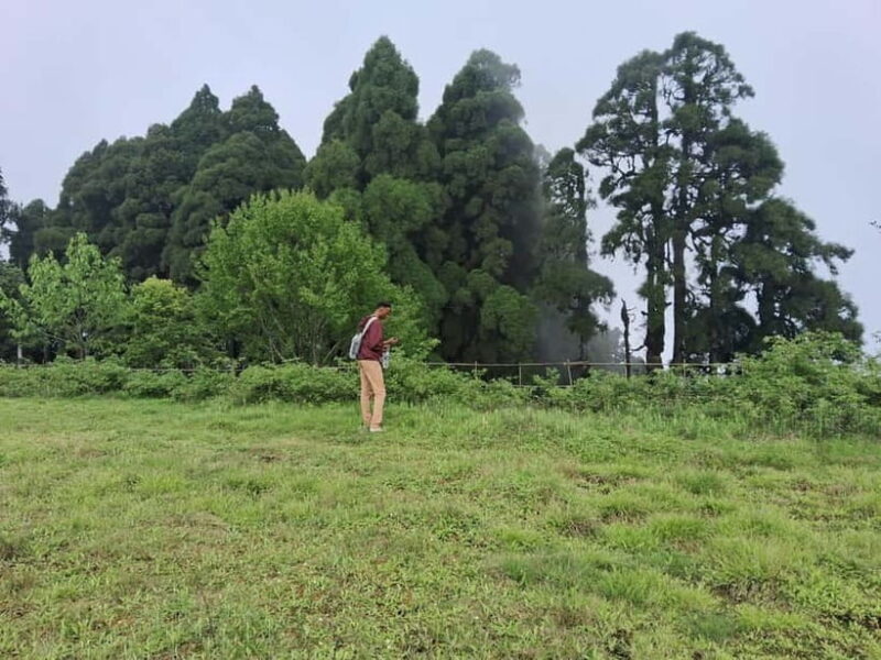 Tiger Hill Sunrise and Hiking Tour from Darjeeling - Exploring the Tiger Hill Sunrise and Hiking Tour from Darjeeling