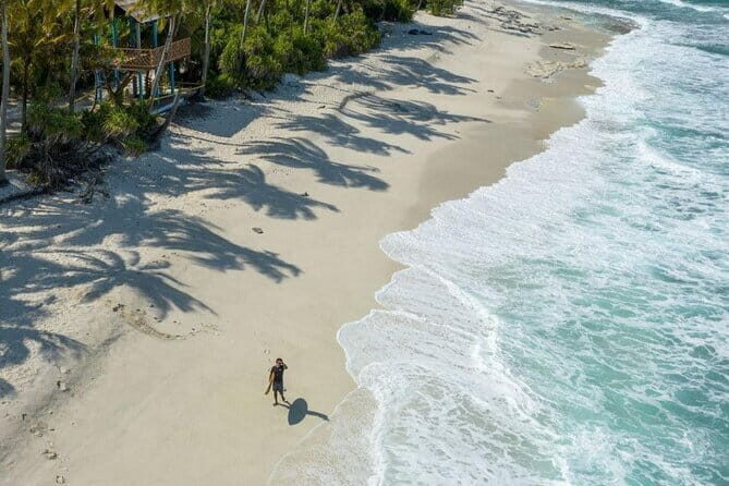 Tiger Shark Diving in Fuvahmulah:8 Days, 7 Nights 15 dives offer - The Marine Life and Encounters