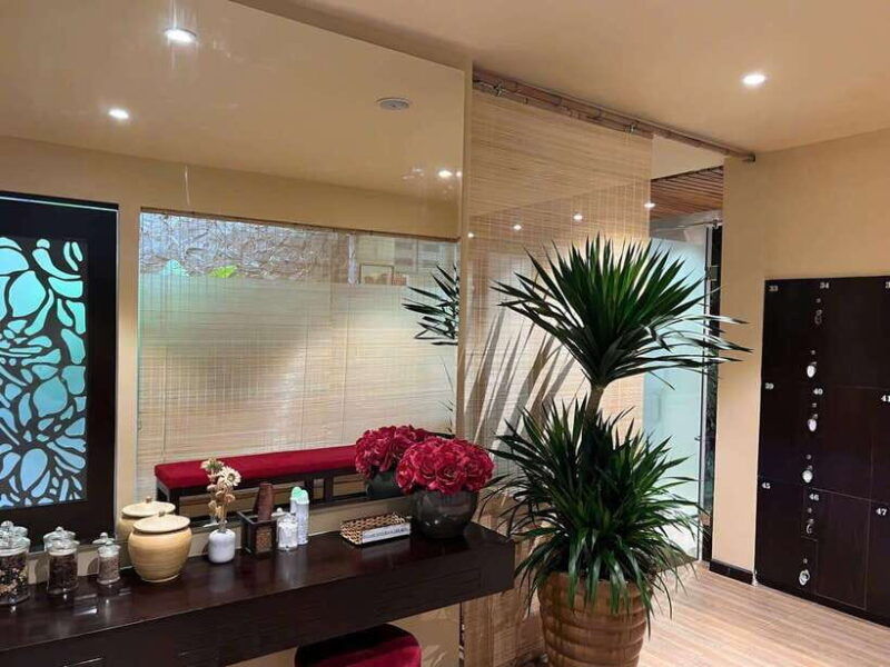 tigon-spa-vip-1-120-minutes-massage-and-hair-wash