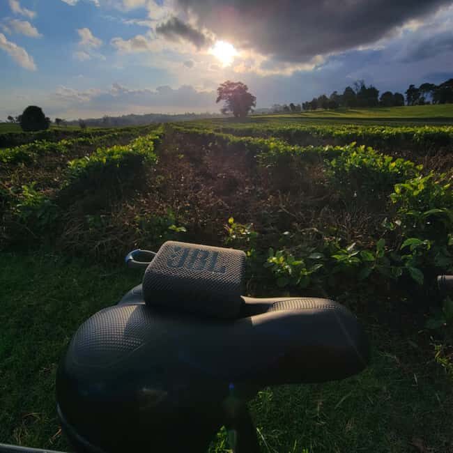 Tigoni: E-bike Tour - The Experience: What to Expect