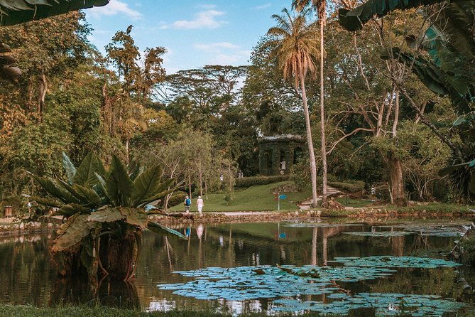 tijuca-forest-and-botanical-garden