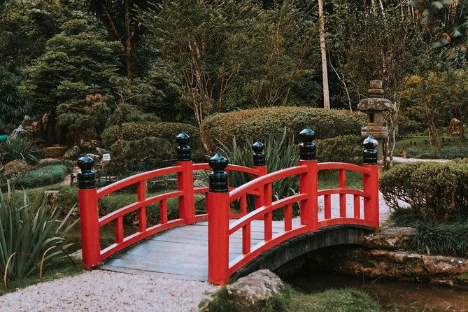 tijuca-forest-and-botanical-garden