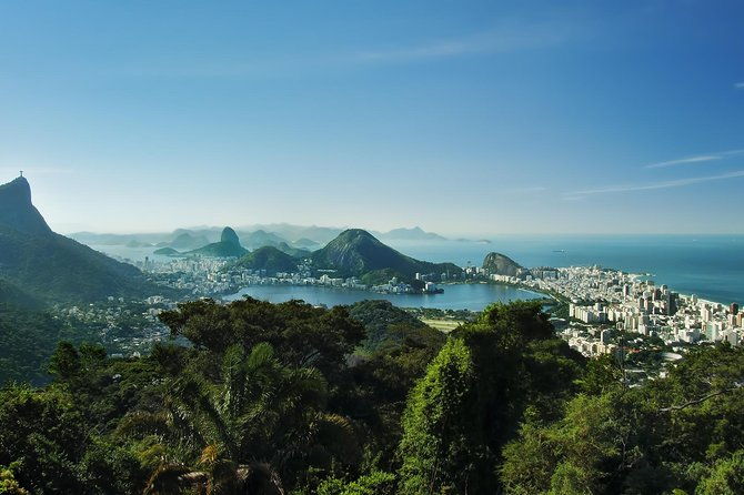 tijuca-forest-botanic-garden-lage-park-by-alan-denis