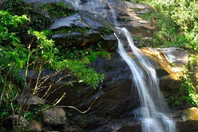 tijuca-forest-botanic-garden-lage-park-by-alan-denis
