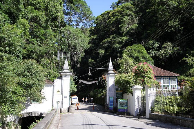 tijuca-forest-botanic-garden-lage-park-by-alan-denis